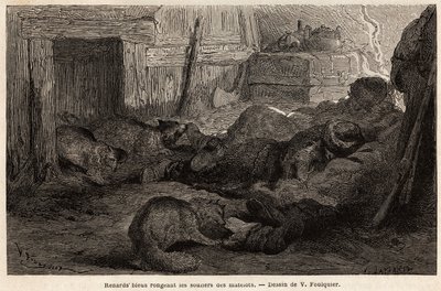 Siniketut puremassa havaintoaseman turvakodissa nukkuvien merimiesten kenkiä, V. Foulquierin piirros havainnollistamaan Huippuvuoria tekijältä Unknown artist
