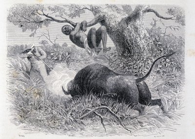 Kapteeni Speke metsästää puhveleita "" Tour du Mondessa"" tekijältä Unknown artist