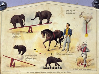 Sirkus: taulu, joka edustaa erilaisia oppineiden eläinten esityksiä, joissa esiintyy norsuja, vuohia, karhuja, hevosia ja sikaa. Kuva 1800-luvulta tekijältä Unknown artist