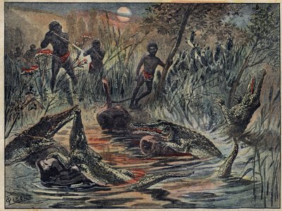 Krokotiilin metsästys Nigerissä lapsen kanssa syöttinä. Kuvitus "" Le Pelerin" -lehdessä 4. joulukuuta tekijältä Unknown artist