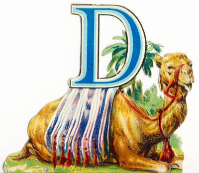 D: Dromedaari tekijältä Unknown artist