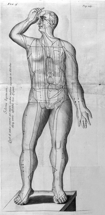 De Acupunctura, kirjoittanut W.Ten Rhijn. Lontoo 1683. Ensimmäinen akupunktiota käsittelevä länsimainen teksti. tekijältä Unknown artist