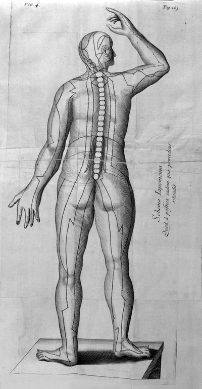 De Acupunctura, kirjoittanut W.Ten Rhijn. Lontoo 1683. Ensimmäinen akupunktiota käsittelevä länsimainen teksti. tekijältä Unknown artist