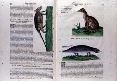 Historia Animaliumin kaksoissivu, kirjoittanut Conrad Gesner (1516 - 1565), Tiguri tekijältä Unknown artist