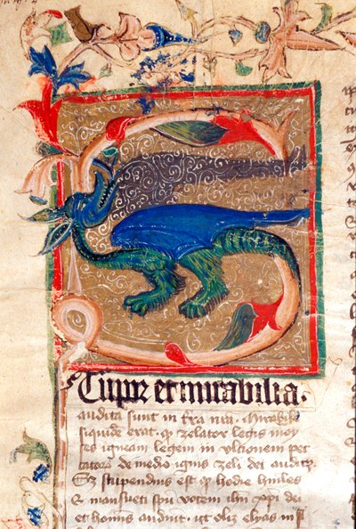 Dragon Decoree Lettrine Yksityiskohta 1300-luvun käsikirjoituksesta tekijältä Unknown artist
