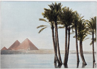 Egypti: Niilin tulva ja Gizan pyramidit (Gizeh, Gizeh, Giza). tekijältä Unknown artist
