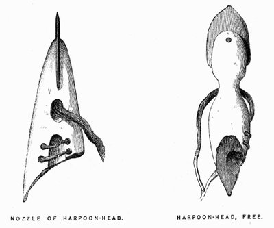 Eskimo Harpoons - Elisha Kent Kane, Artic Exploration vuosina 1853-1855, Philadelphia, Childs ja Peterson tekijältä Unknown artist