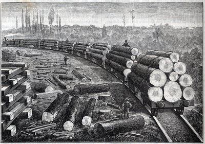 Yhdysvaltain metsien hyödyntäminen. Väliaikaiset rautatiet puuraiteella. Puunrunkoja kuljettavat vaunut. Kaiverrus "" La Nature"" tekijältä Unknown artist