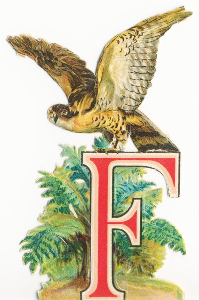 F: Falcon tekijältä Unknown artist