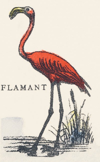 F: flamingo tekijältä Unknown artist