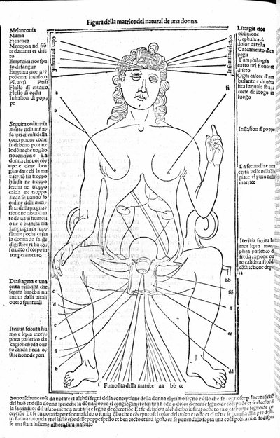 Naisten lisääntymislaitteisto - Gerolamo Cardanon (Cardano) (Cardanus Hieronymus) lääketieteen tutkielmassa, Firenze 1585. tekijältä Unknown artist