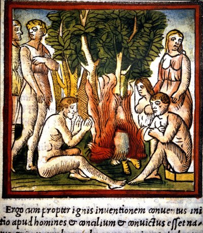 Tuli ja primitiivit - Vitruvan "" De architectura" -kirjassa tekijältä Unknown artist