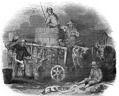 Harvesteri Polassa (Pula) (Istria) Kroatiassa 1800-luvulla. tekijältä Unknown artist