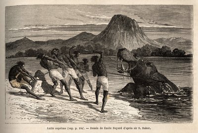 Virtahepo metsästää Houarti-heimon kanssa harppuunoilla ja keihäillä, raivoissaan eläimissä lastataan ja vastustetaan. Sir Samuel W. Bakerin kaiverrus, joka havainnollistaa Niilin Abessinian sivujokien tutkimusta vuosina 1861-62, julkaistu "" Le tour du mo tekijältä Unknown artist