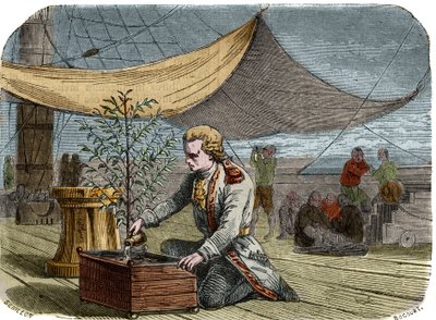 Kahvilan historia: Kapteeni Gabriel de Clieu (Declieux, Desclieux) (1687/1678 - noin 1774), jonka kuningas Ludvig XIV vuonna 1725 tilasi tuomaan takaisin Martiniquelle kahvitehtaan (kahvinkeittimen), jakaa hänen kanssaan vesiannoksensa pelastaakseen hänet  tekijältä Unknown artist