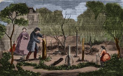Puutarhaviljely: tärkeimmät kasvien istutusmenetelmät. 1860 kaiverrus. tekijältä Unknown artist