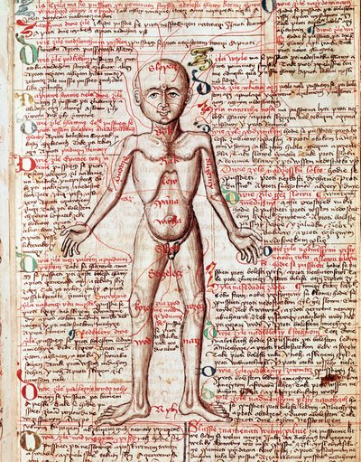 Ihmiskehon kaiverrus "Tractatus de pestilentiasta" 1400-luvulta - Praha, Kansalliskirjasto tekijältä Unknown artist
