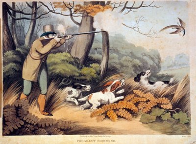 Fasaanien metsästys Englannissa. 1800-luvun kaiverrus. Gien, metsästysmuseo tekijältä Unknown artist