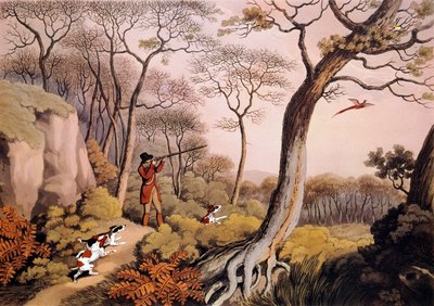 Fasaanien metsästys Englannissa. 1800-luvun kaiverrus. Gien, metsästysmuseo tekijältä Unknown artist