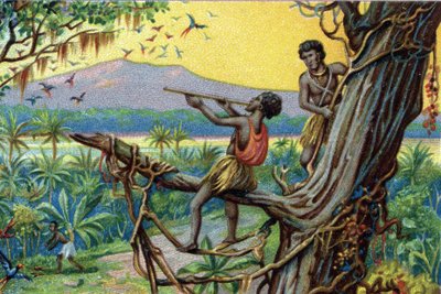Metsästystekniikka. Hummingbirdin metsästys Polynesian saaristossa: asukkaat käyttävät puremia. 1800-luvun kromolitografia. tekijältä Unknown artist
