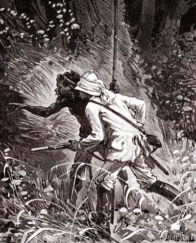 Kumipelloilla (Hevoea) Guyanan viidakossa tekijältä Unknown artist