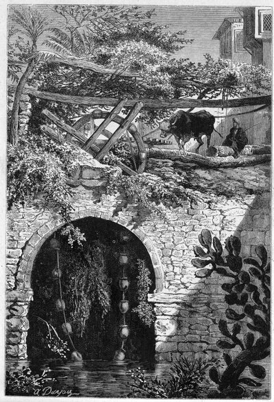 Kastelu Egyptissä: härkä pyörittää pyörää, jonka ympärille on kääritty kauhoja. Kaiverrus "" Le Monde Illustré" -julkaisussa nro 1313, 27. toukokuuta 1882. tekijältä Unknown artist