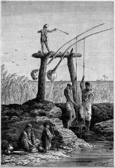 Kastelu Egyptissä: chadoufit (tai shadoufit) Niilin rannoilla. Kaiverrus "" Le Monde Illustré" -julkaisussa nro 1313, 27. toukokuuta 1882. tekijältä Unknown artist