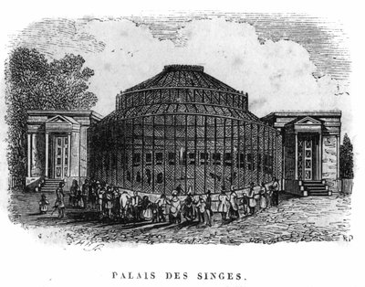 Jardin des Plantes Pariisissa vuonna 1861: apinoiden palatsi. tekijältä Unknown artist