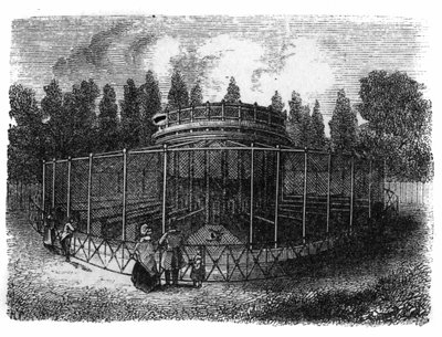 Jardin des Plantes Pariisissa vuonna 1861: pheasanderie. tekijältä Unknown artist