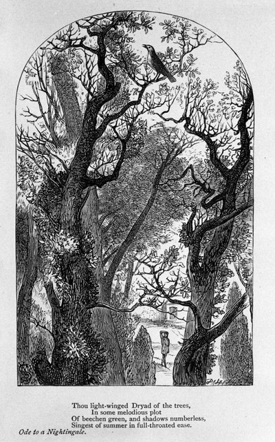 John Keats: Oodi satakielille tekijältä Unknown artist