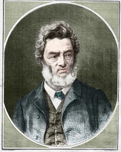 Jules Favre (1809-1880), ranskalainen poliitikko ja lakimies. tekijältä Unknown artist