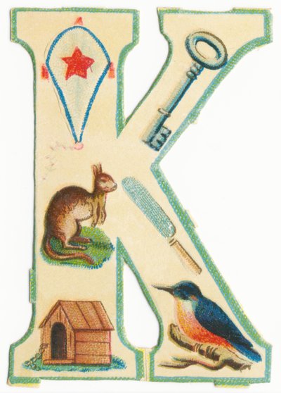 V: Hyönteiset, leijat, kengurut, havupuut, kennelit, kingfishers (musta litho) tekijältä Unknown artist