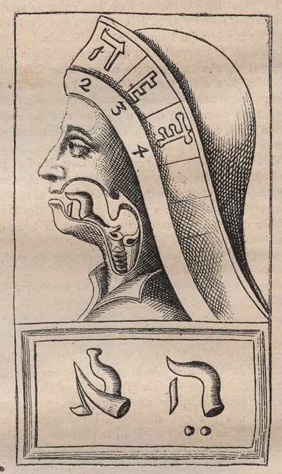 Kabbalah - Kabbalale - Kuvitus: "" Luonnon aakkoset hepreaksi lyhyellä kuvauksella" (Luonnon aakkoset) kirjoittanut Franciscus Mercurius van Helmont (1618-1699) (Francois Mercure Van Helmont) - Tässä työssä van Helmont väitti, että jokainen valoa tekijältä Unknown artist