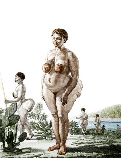 La Venus Hottentote, nainen, rotu Bochiman (The Hottentot Venus,) kaiverrus vuodelta 1815. tekijältä Unknown artist