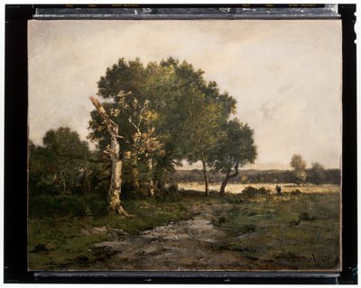 Maisema, noin 1800-luku (öljy kankaalle) tekijältä Unknown artist