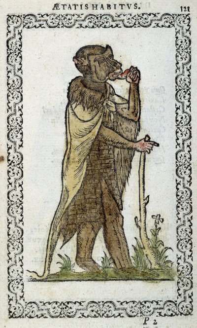 Seisova mansikka - Jean Sulperiuksen teoksessa "Habits et effigies". tekijältä Unknown artist