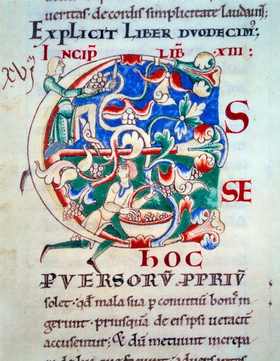 Lettriine C; viiniköynnös 1100-luvun alussa. Keskiajan miniatyyri. Käsikirjoitus ”Moralia in Job” Citeaux Abbeysta Gregoire paavi I:lle tekijältä Unknown artist