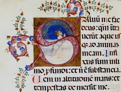 Lettrine S: Daavid syvässä valossa - 1400-luvun antifonia. Kunnallinen Raamattu. Riministä. tekijältä Unknown artist