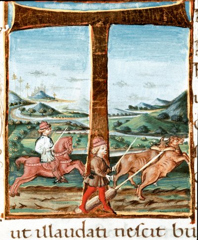 Lettrine T decoree ratsastajasta ja härkien kouluttajasta - Miniatyyri otettu kirjasta "" The Bucoliques"" (Eglogues), kirjoittanut Virgil (Publius Vergilius Maro) (70-19 eKr.) (Ms IV E.12). 1400-luvun Napoli, kansalliskirjasto tekijältä Unknown artist