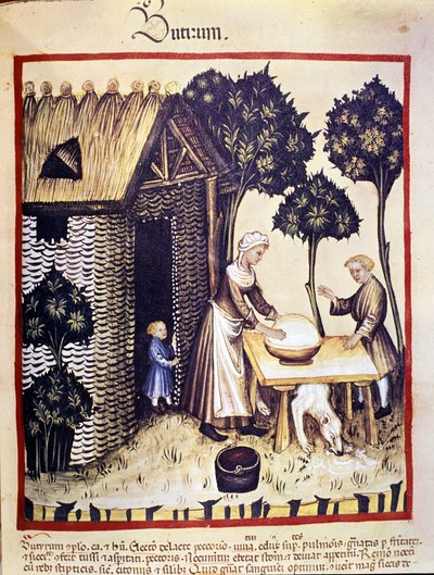 Voin valmistus. Valaistus lääketieteen ja dietetiikan lypsystä "" Tacuinum sanitatis"" tekijältä Unknown artist