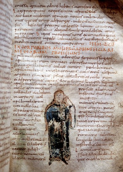 Käsikirjoitussivu Claude Galienin "On the Simple Drugs" -julkaisusta (Klaudios Galenos tai Claudio Galeno tai Claudius Galenus tai Galen, v. 131 - v. 201). 8. tai 9. vuosisadalla. Luccan hallinto. tekijältä Unknown artist