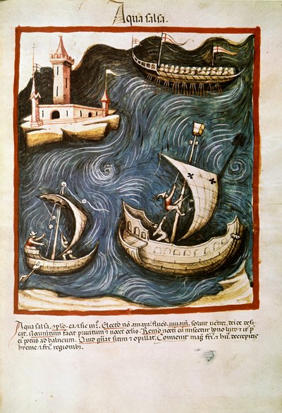 Lääkekauppa: ""suolavesi"" Sivu otettu julkaisusta ""Tacuinum sanitatis"" (Cod. ser. nov. 2644) Noin 1400 Wien, Itävallan kansalliskirjasto tekijältä Unknown artist