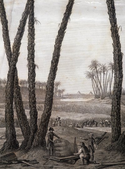 Memphis, näkymä raunioista (tieteilijät ja työskentelevät taiteilijat) - julkaisussa "Egyptin kuvaus", Imperial Editions tekijältä Unknown artist