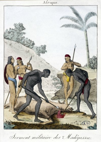 Madagaskarin asukkaiden sotilaallinen vala (teurastettu härkä) - grv. 1811 tekijältä Unknown artist