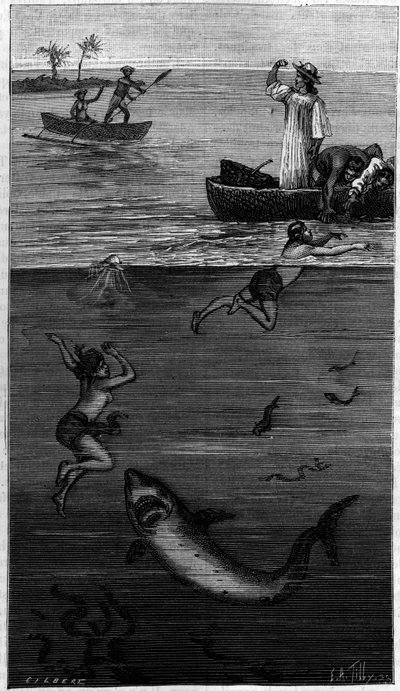 Helmikulttuurin äiti Tahitilla: hain kimppuun hyökännyt helmenkeruukone. (Kirjoittajan toimittamien asiakirjojen mukaan). Kaiverrus "" La Nature: revue des sciences et de leurs applications aux arts et a l