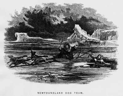 Pohjoisnapa: rekikoira leijumassa mies putoaa jään läpi - Elisha Kent Kane, Arctic Explorations vuosina 1853-1855, Philadelphia, Childs ja Peterson tekijältä Unknown artist