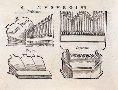 Elinten edustus. Sivu otettu Musurgian käytännön musiikin käsikirjasta tekijältä Unknown artist