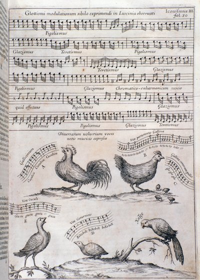 Sivu Musurgiasta (1650) tekijältä Unknown artist