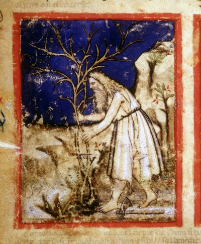 Raamatun käsikirjoituksen sivu. Nooan kasvillisuus. Miniatyyrit Codex 212:sta (tai Padovano-koodista tai Padovan Raamatusta) 1390-1400 Rovigo, Accademia dei Concordi tekijältä Unknown artist