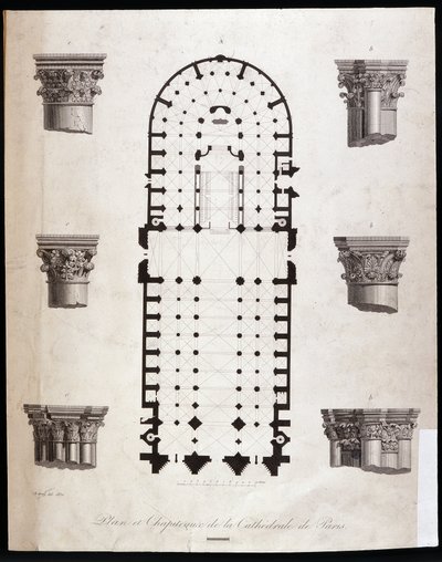 Pariisin Notre Damen (Notre-Dame) katedraalin suunnitelma ja pääkaupungit. 1800-luvulla. tekijältä Unknown artist
